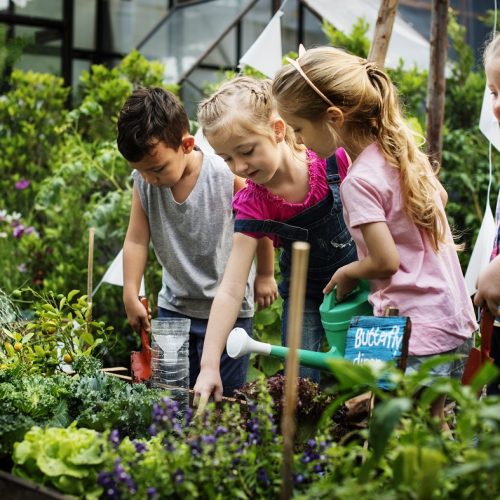 Group of kindergarten kids learning gardening outdoors