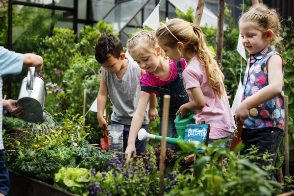 Group of kindergarten kids learning gardening outdoors