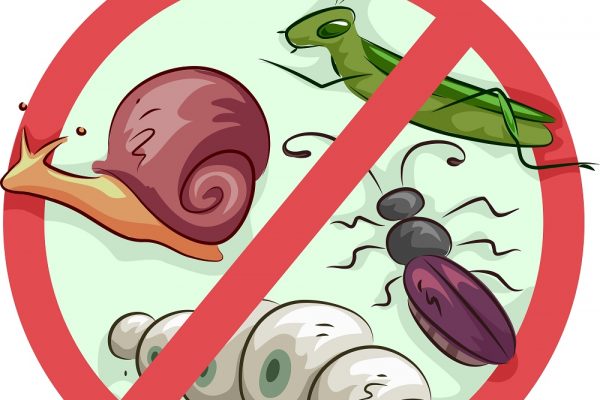 Illustration of a Sign Barring Common Garden Pests